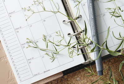 An open white planner with a calendar and notes section on a table. A gray pen rests on top of the planner, while a green plant hovers above it.